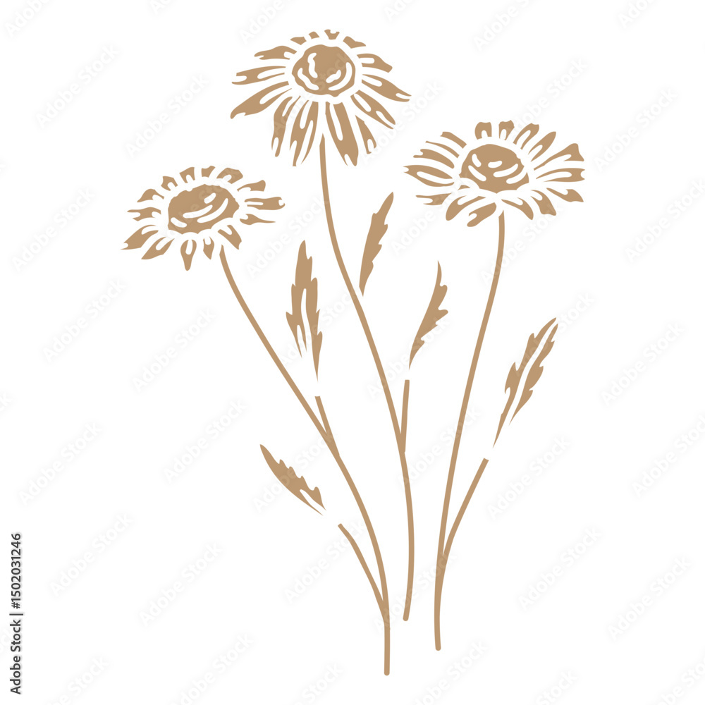 Obraz premium Three daisies
