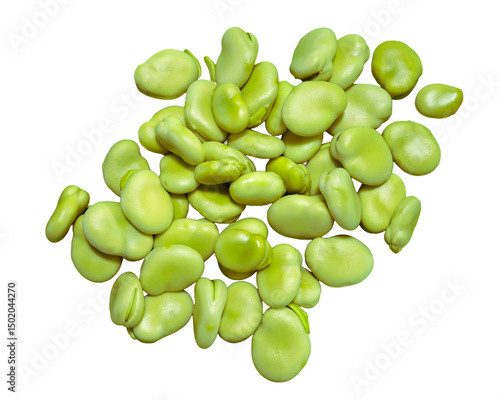 沢山の新鮮なそら豆の実アップ画像