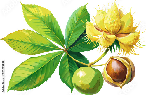A watercolor painting of a Yellow Buckeye (Aesculus flava), featuring large palmate leaves and drooping yellow flower panicles, isolated on a white background.