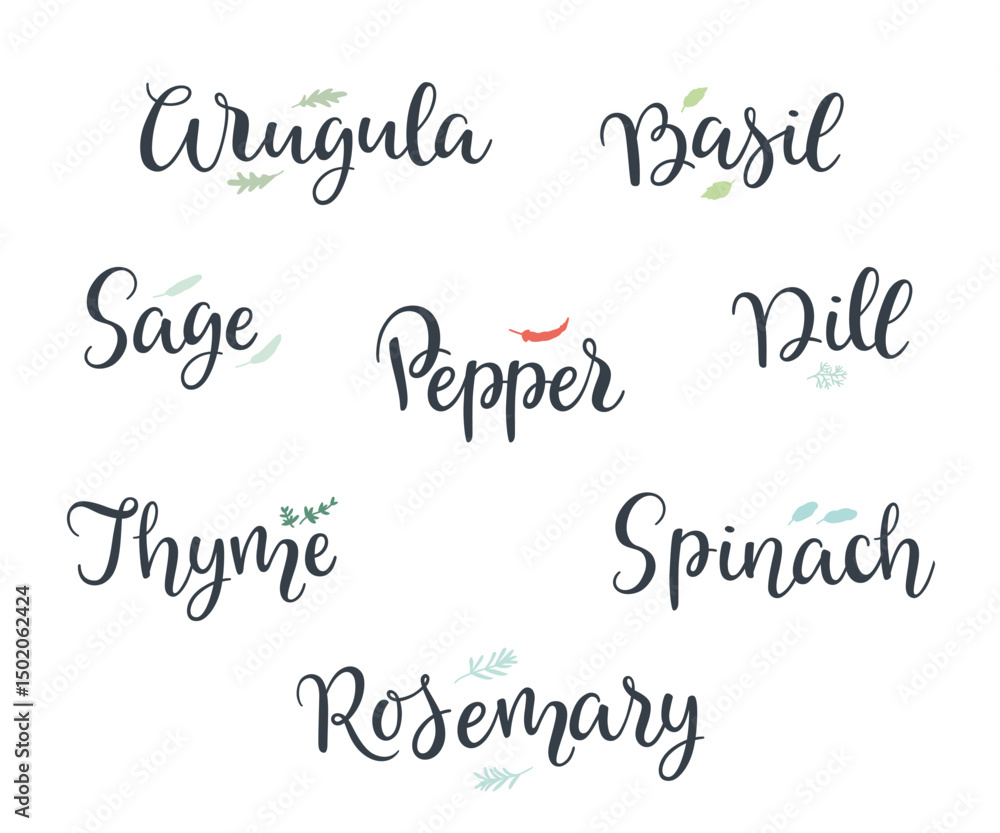 Vector hand written kitchen herbs and spices lettering collection. Vector hand written kitchen herbs and spices lettering collection.