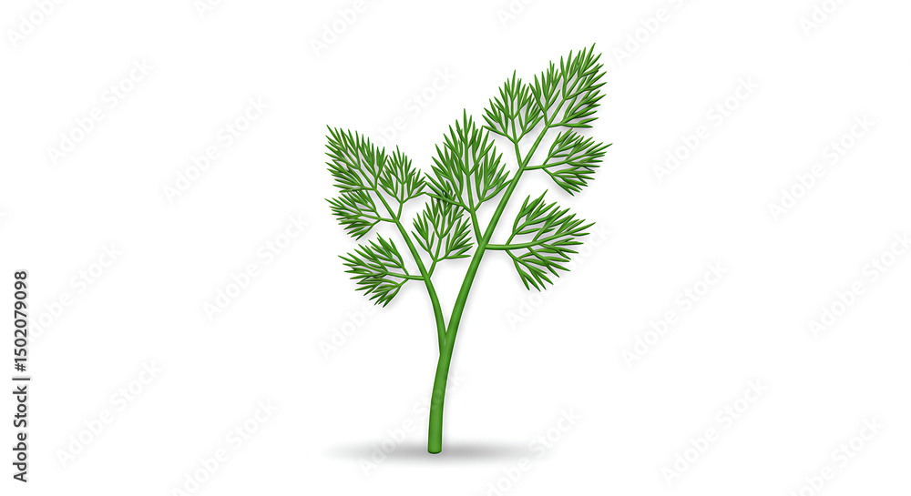 Obraz premium Delicate Dill Branch 