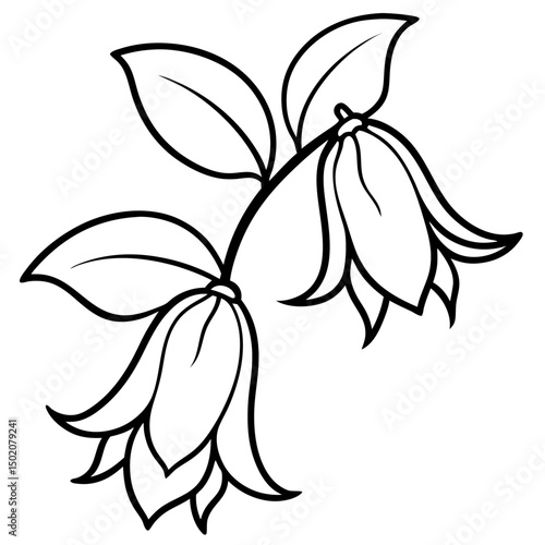 Bellflower Vector on White