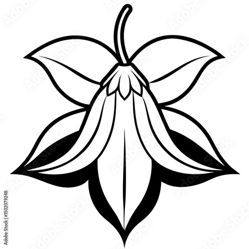 Bellflower Vector on White