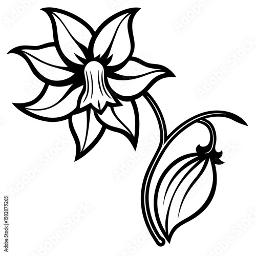 Bellflower Vector on White