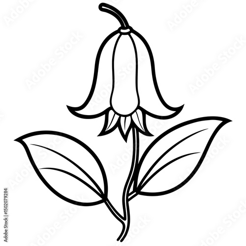 Bellflower Vector on White