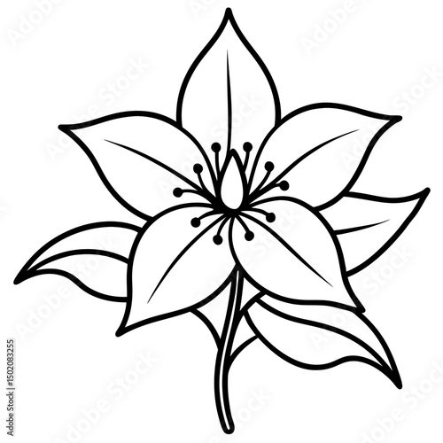 Balloon Flower Vector on White Background