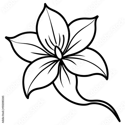 Balloon Flower Vector on White Background