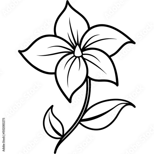 Balloon Flower Vector on White Background
