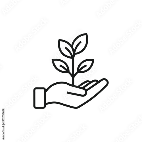 hand holding a tree with white background