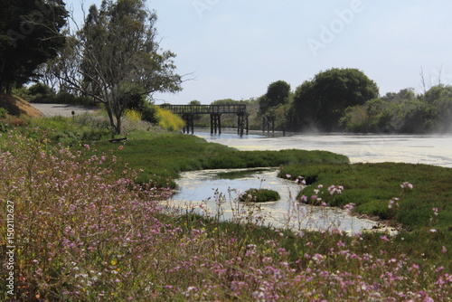 Bridge over a river