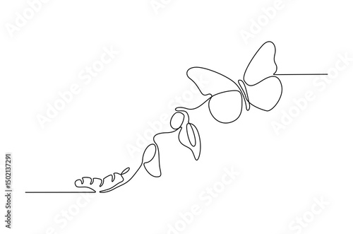 Continuous one line drawing of Butterfly life cycle. Single line drawing illustration of Growth Butterfly. Perfect metamorphosis concept vector art. Line vector illustration.
