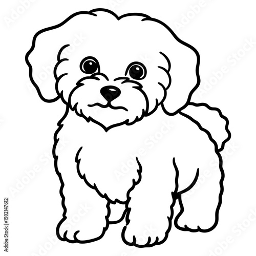 Minimal Bichon Frise Vector on White