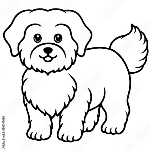 Minimal Bichon Frise Vector on White