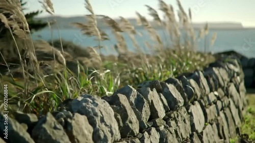 Coastal Stone Wall With Wild Grass And Tranquil Seascape