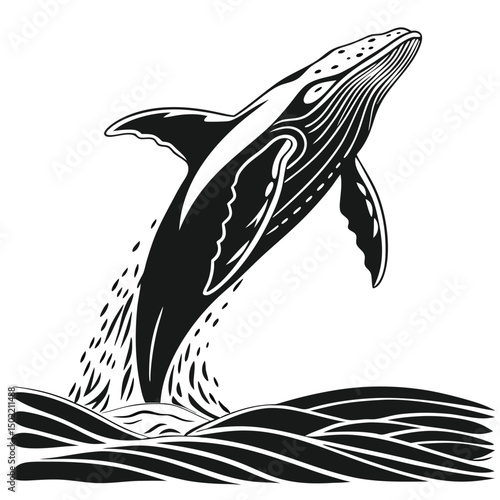 Humpback Whale breaching: A majestic humpback whale breaches the ocean surface in a powerful display of aquatic grace. 