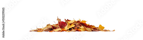 Autumn leaves fallen colorful pile on ground