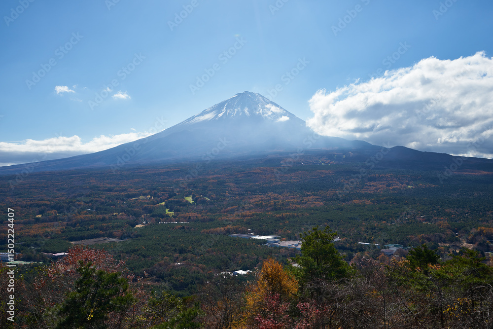 Fototapeta premium 山梨県 紅葉台からの紅葉と富士山