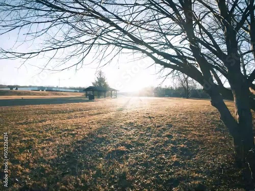 Rise Through the Tree