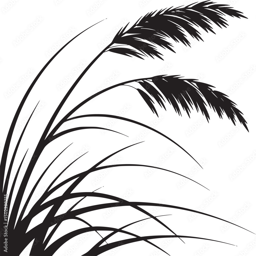 Fototapeta premium palm tree silhouette