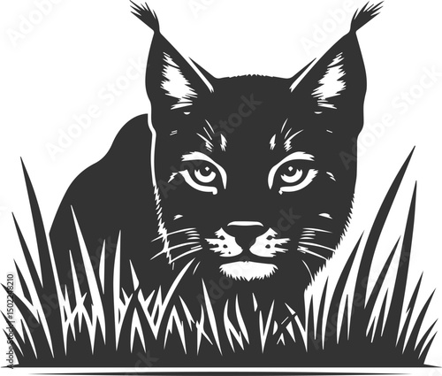 Black artwork lynx animal vector silhouette