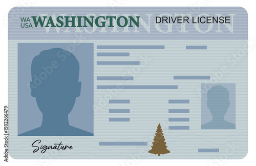 Washington driver license isolated on white background. Person driver license.