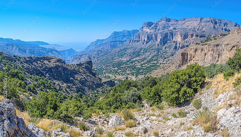 Mountainous valley vista with lush greenery. Mountainous valley vista with lush greenery.