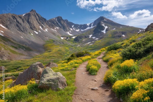 Hiking trail through scenic mountain landscape with flowers