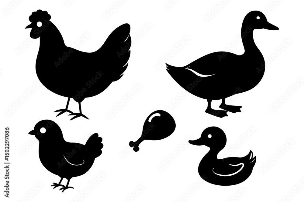 Fototapeta premium Set of black Chicken, hen and Duck silhouettes. Vector elements for design. 