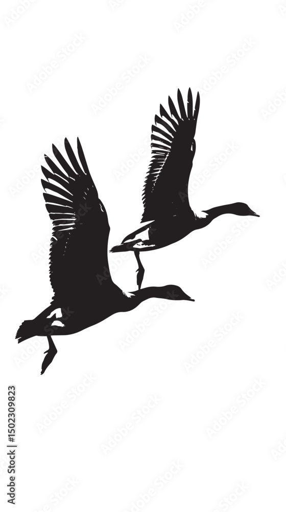 Fototapeta premium Geese silhouette isolated in White background