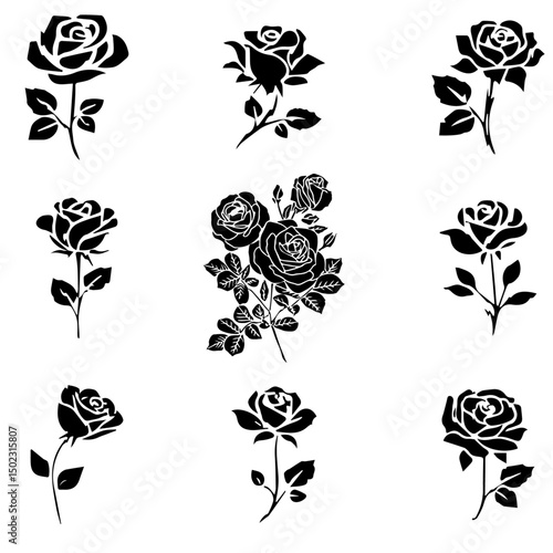 Rose vector image 