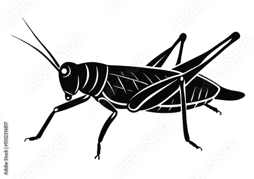 grasshopper insect silhouette vector, flying grasshopper icon illustration.