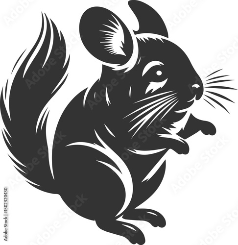 chinchilla rodent artwork vector