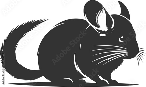 chinchilla rodent artwork vector