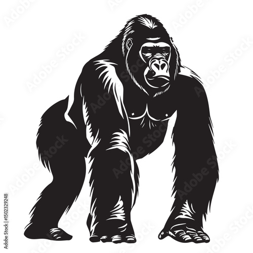 Gorilla silhouette vector illustration isolated in white background