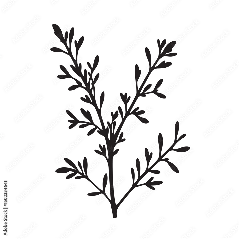 Timeless and elegant, a simple two-dimensional rosemary silhouette in black and white. Modern flat design vector style, set against a clean white background.eps Timeless and elegant, a simple two-dimensional rosemary silhouette in black and white. Modern flat design vector style, set against a clean white background.eps