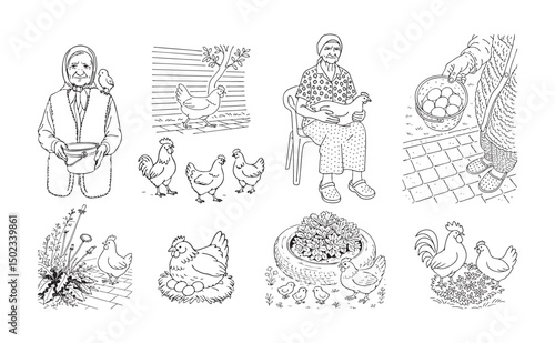 old lady with chickens set vector sketch. roosters and hens with chicks vector hand drawn set