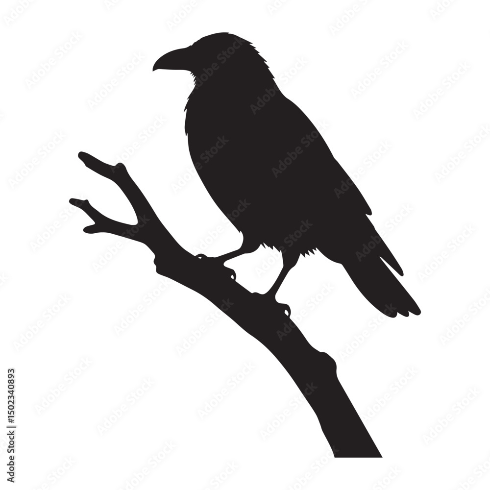 Fototapeta premium Crow silhouette on a bare branch illustration on white background.