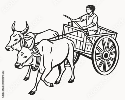Traditional Transportation of Livestock Through The Ox Cart Era