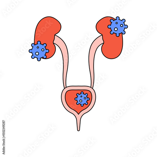 Urinary Tract Infection