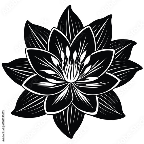 AdobCinquefoil flower, potentilla erecta, bloodroot vector hand drawn colorful illustration isolated on white background, ink sketch, decorative herbal doodle, medical herbs for de Illustrator Artwork