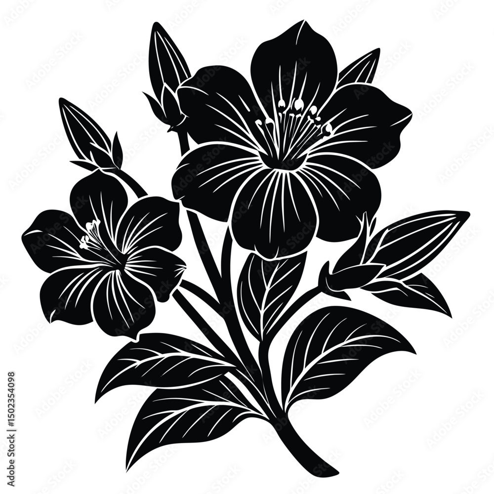 Obraz premium Adobe IllustratoHand Drawn Ink Doodle Of A Flower On A Transparent Backgroundr Artwork
