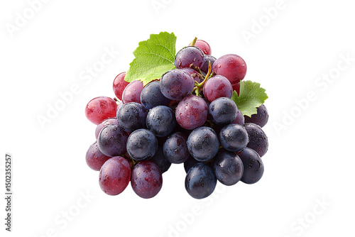 Wallpaper Mural Juicy bunch of mixed red and purple grapes with water droplets and green leaves, isolated on a transparent background Torontodigital.ca