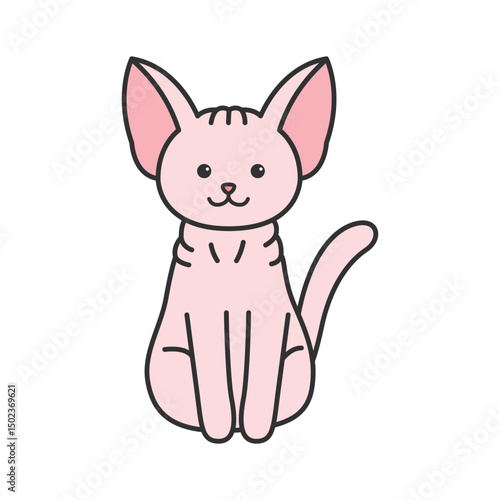 Cute sphynx cat