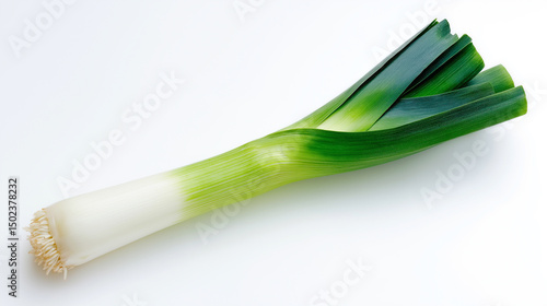 Fresh whole leek isolated on white background, showcasing its green and white stalk.
 photo