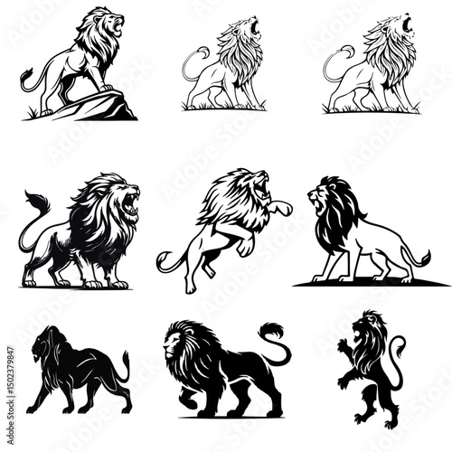 lion   vector image