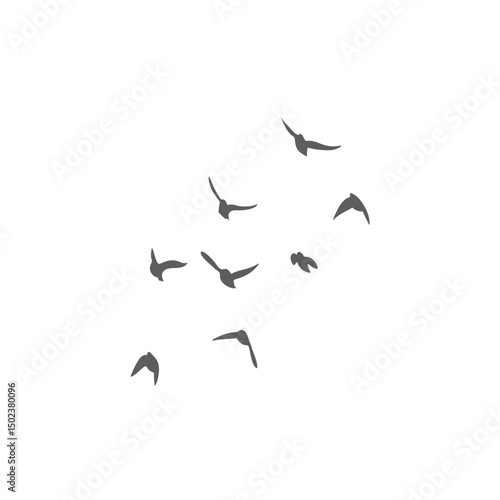 Flying birds silhouettes. Vector illustration 