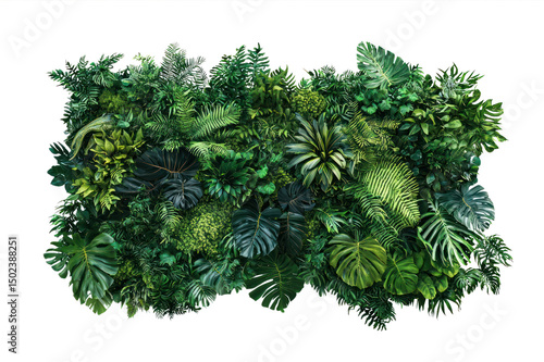 Lush Green Tropical Plant Wall Featu a Variety of Ferns Monstera and Palm Leaf Types for Indoor Decor and Nature Inspired Interior Design