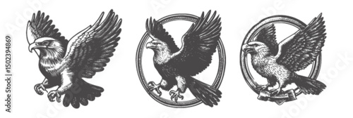Detailed Engravings of Majestic Eagles in Vintage Style Illustration