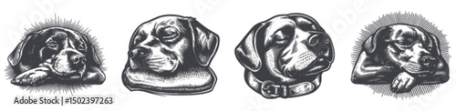 Detailed Engraving Illustration of Sleeping Dogs in Various Poses