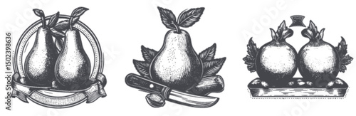 Vintage engravings of pears and pomegranates in black and white